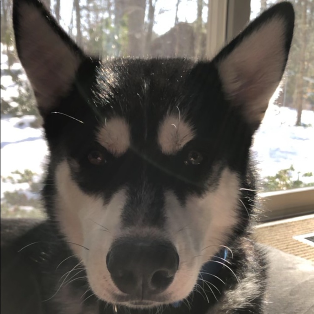 Meet your Posher, Laura